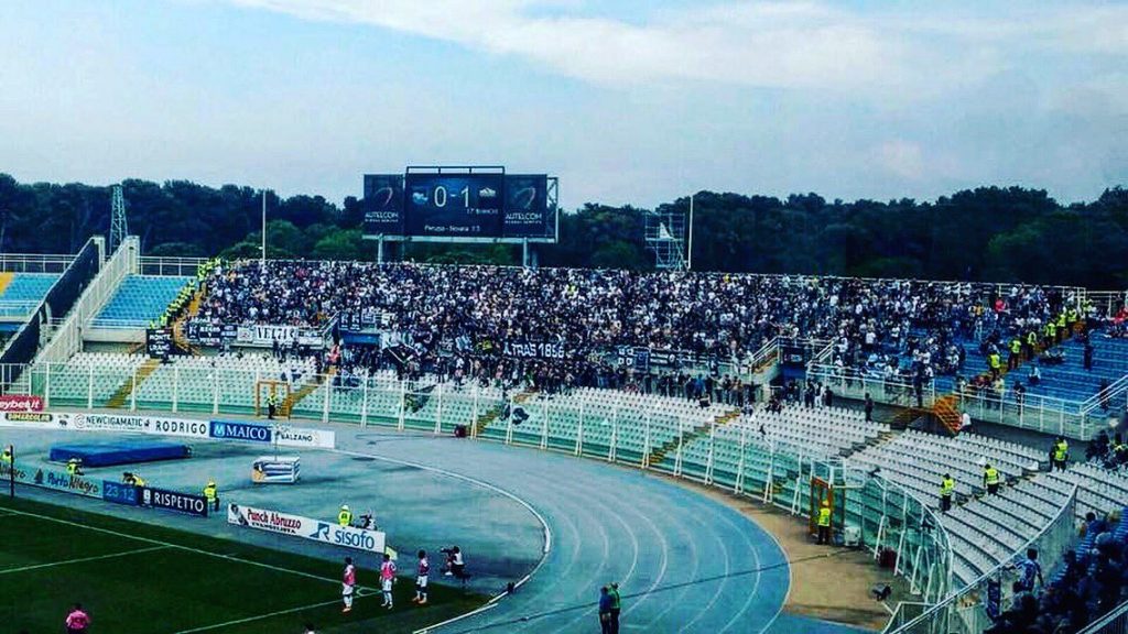 Derby-delfino