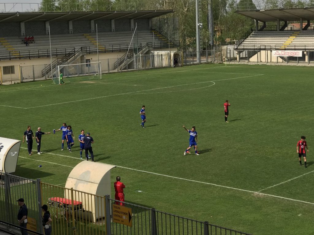 Paviacalcio
