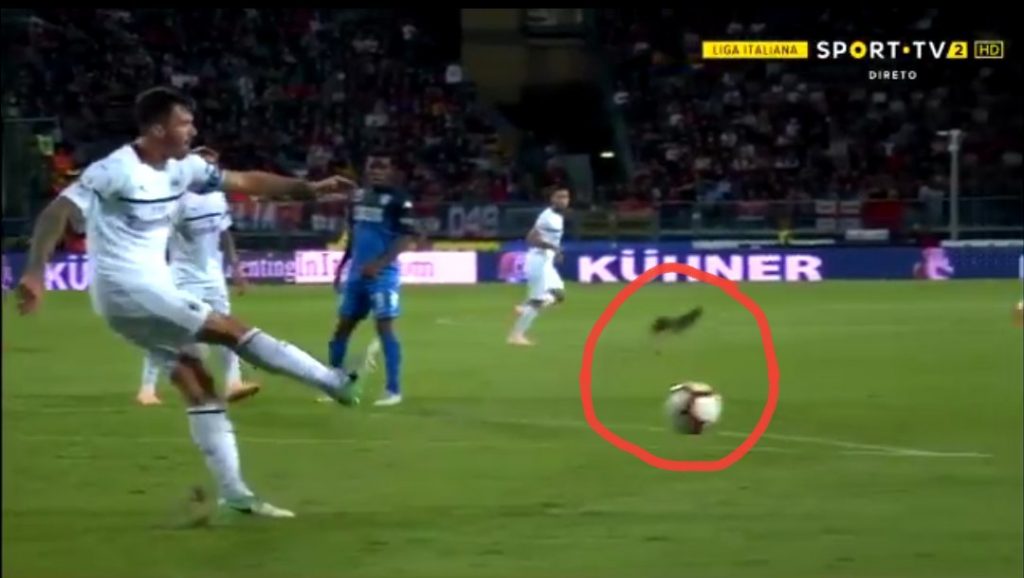 Romagnoli