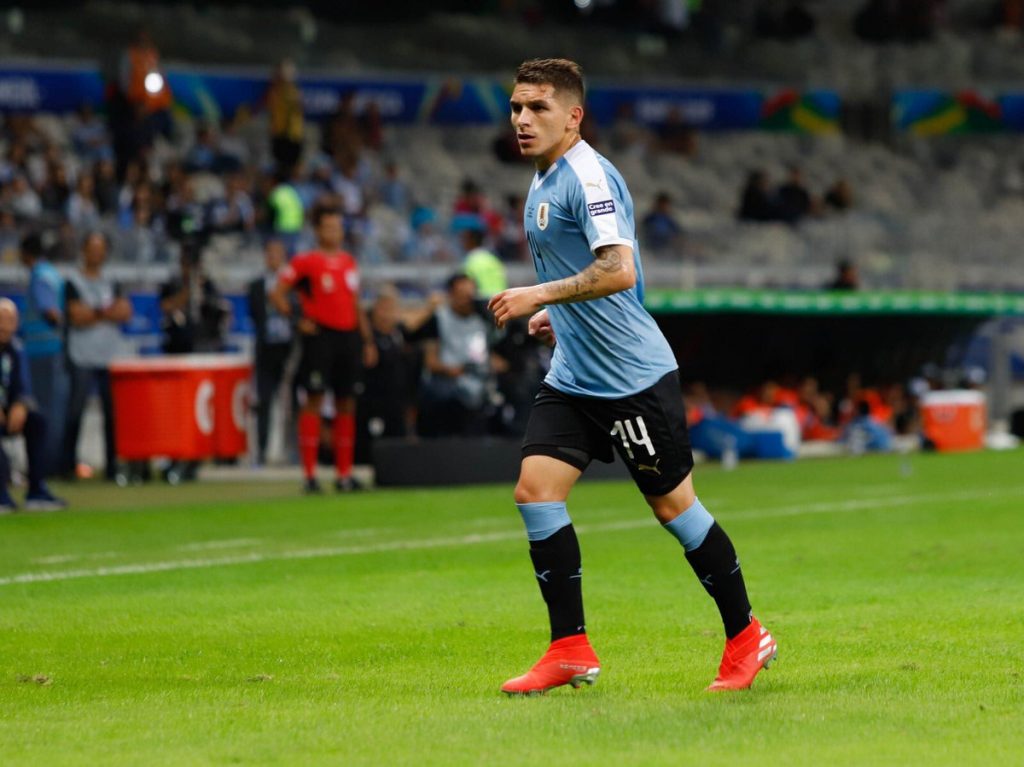 Torreira