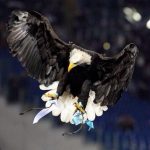 zonalazio