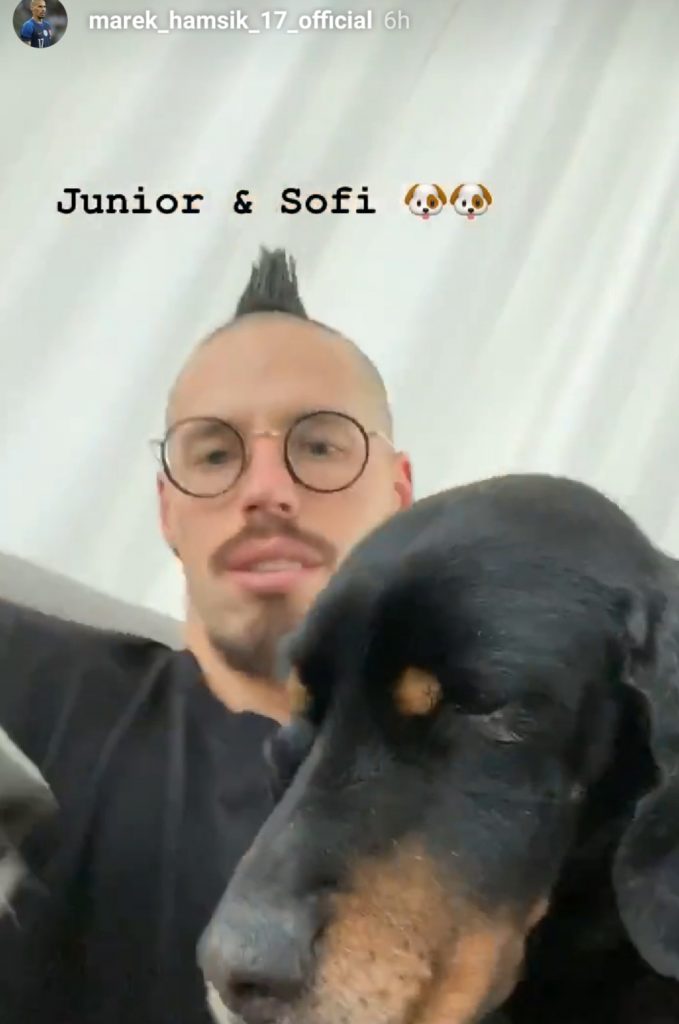 Casa Hamsik