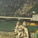 stadio Partenio