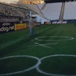 Palmeiras