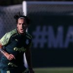 Palmeiras