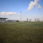 Corigliano