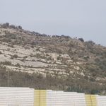 Messina