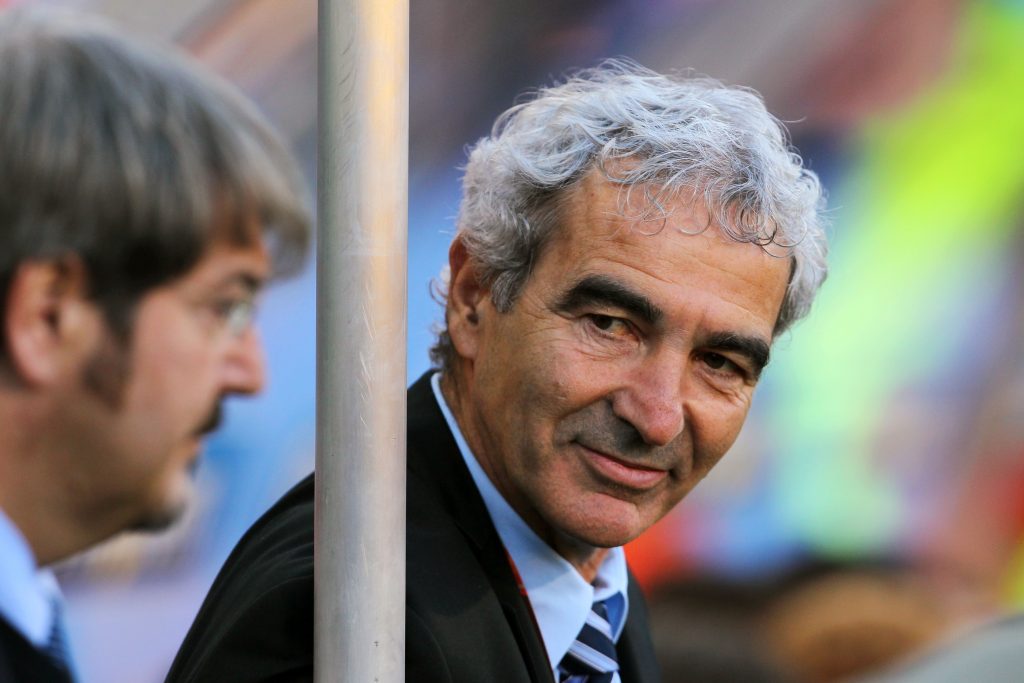 France v South Africa: Group A - 2010 FIFA World Cup