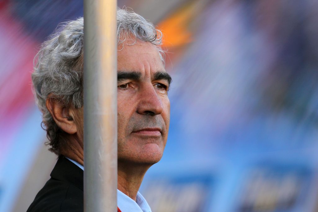France v South Africa: Group A - 2010 FIFA World Cup