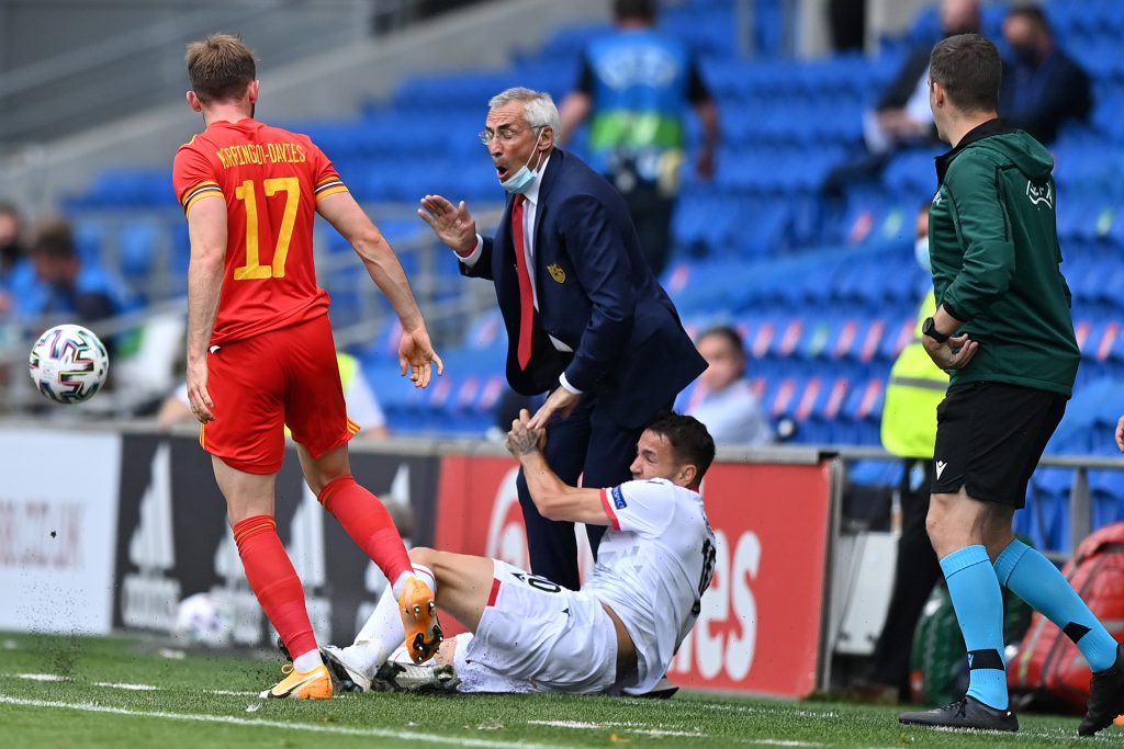 Wales v Albania - International Friendly