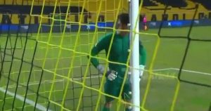 Penarol