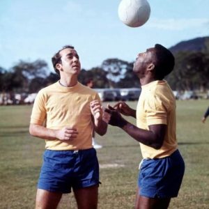 tostao-pele_w862