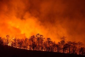 Sardegna