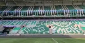 Palmeiras