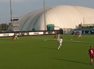Vinovo