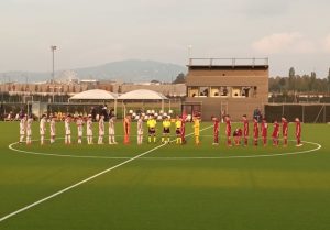 Vinovo