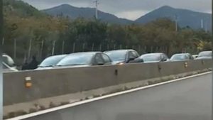 Avellino