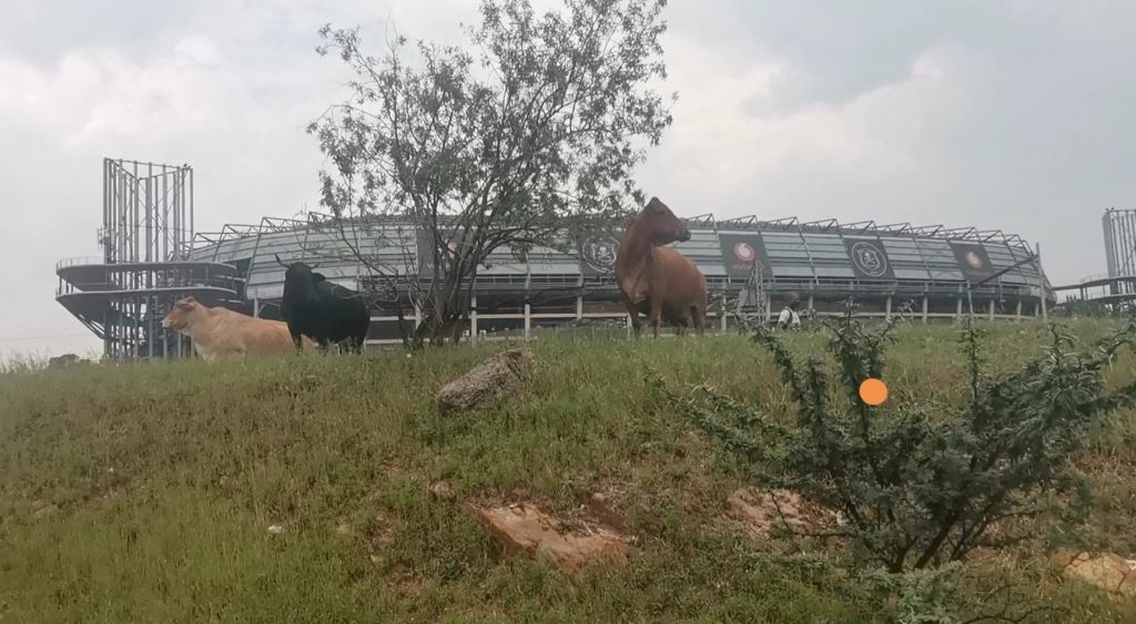 Soweto