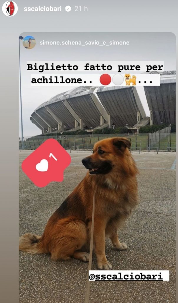 Bari