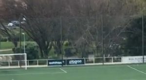 Celta