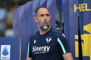 Hellas Verona FC v Torino FC - Serie A