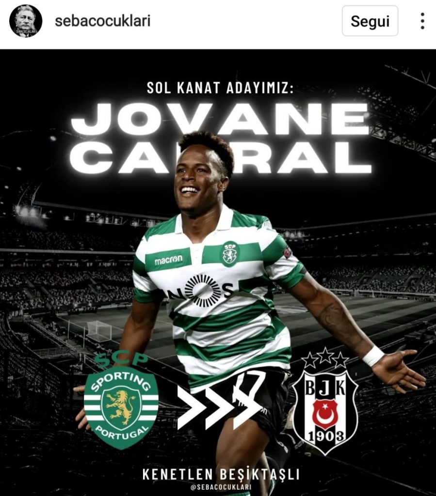 Mercato Turchia