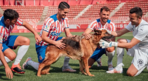 GIRONA PET FRIENDLY