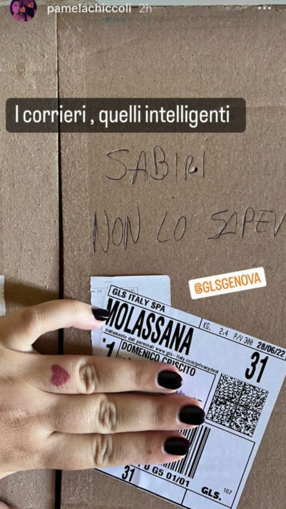 Rivalità genovesi