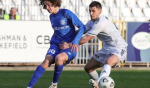 MERCATO PARTIZAN