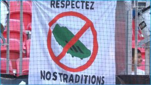 LIONE ANTI-VERDE