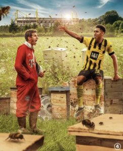 BORUSSIA BAYERN
