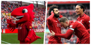 collage LIVERPOOL