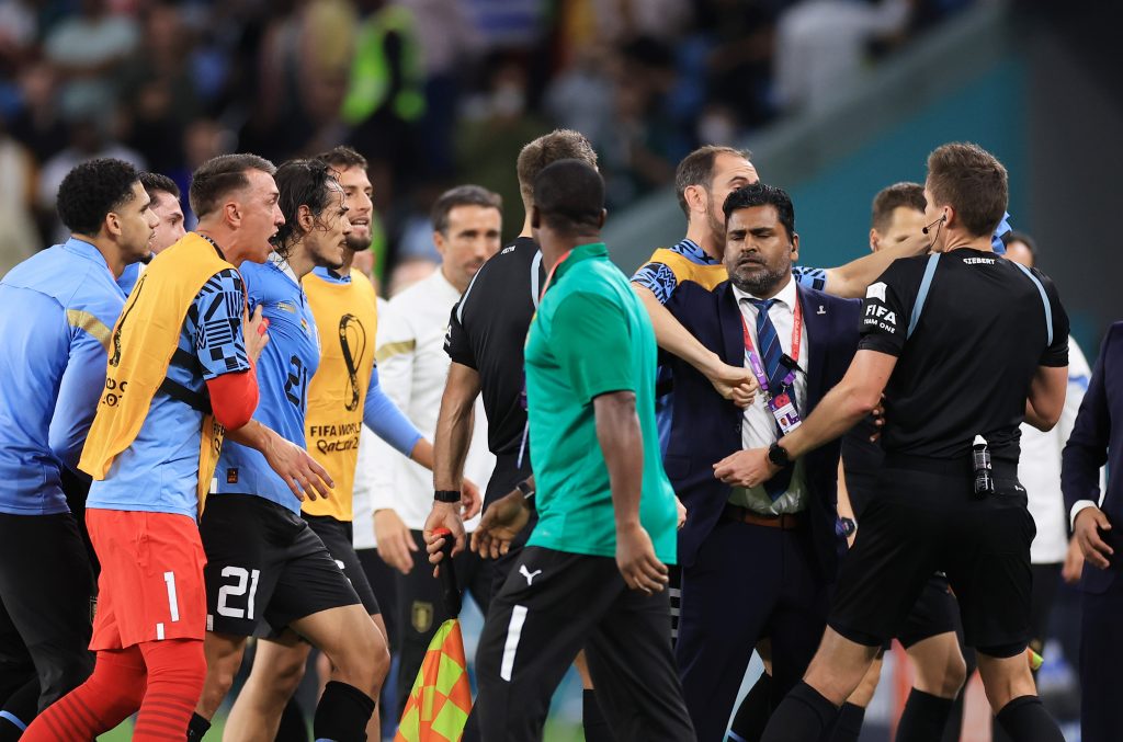 LA RABBIA DI CAVANI