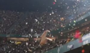 PELUCHE BETIS