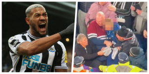 collage NEWCASTLE