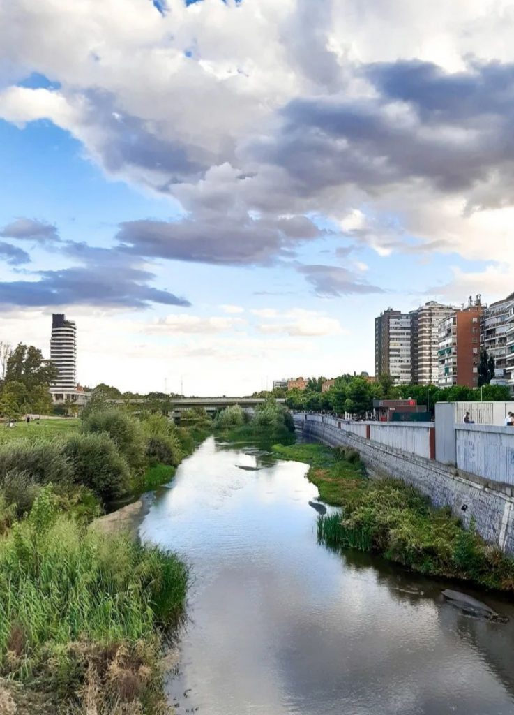 RISSA MADRID