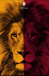 GALATASARAY