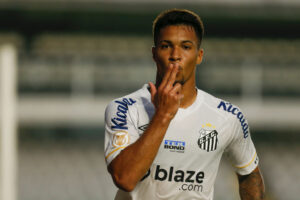 Santos v Botafogo - Brasileirao 2023