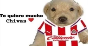 DERBY GUADALAJARA