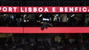 AQUILA BENFICA