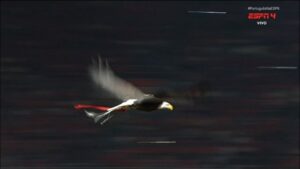 BENFICA SPORTING