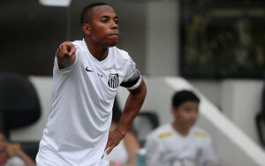 Santos v Cruzeiro - Brasileirao Series A 2015