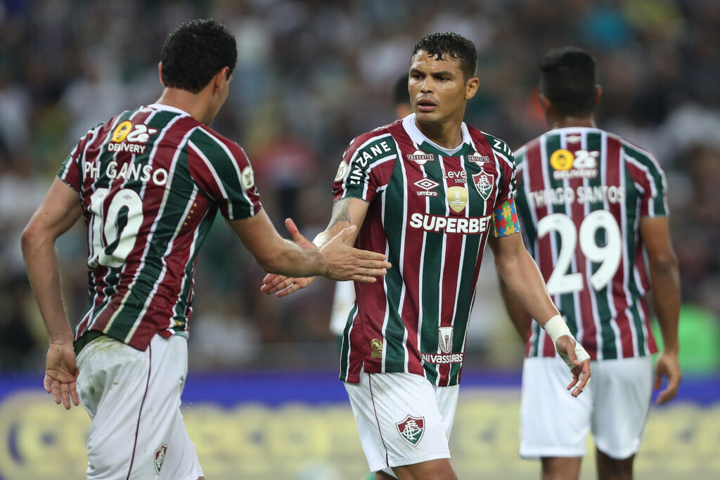 Fluminense v Palmeiras - Brasileirao 2024