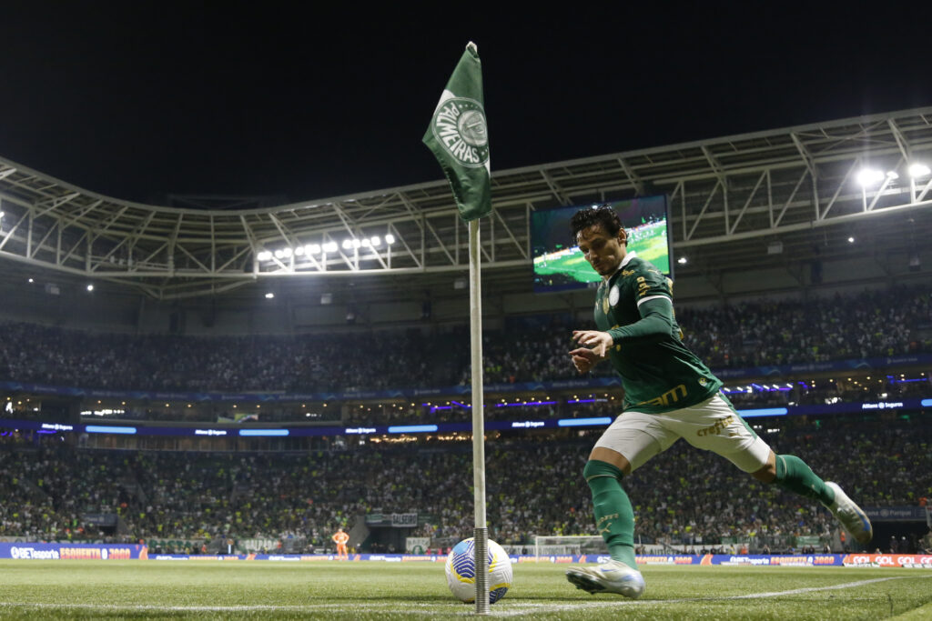 Palmeiras v Botafogo - Brasileirao 2024