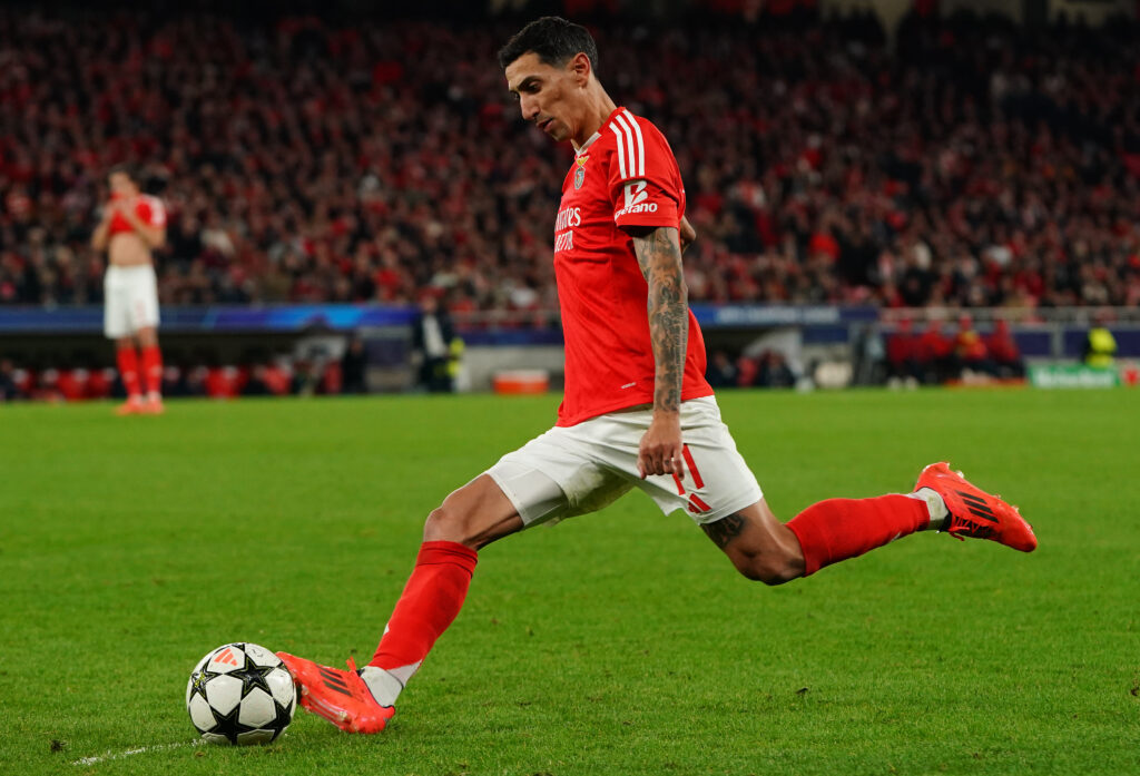 SL Benfica v Bologna FC 1909 - UEFA Champions League 2024/25 League Phase MD6