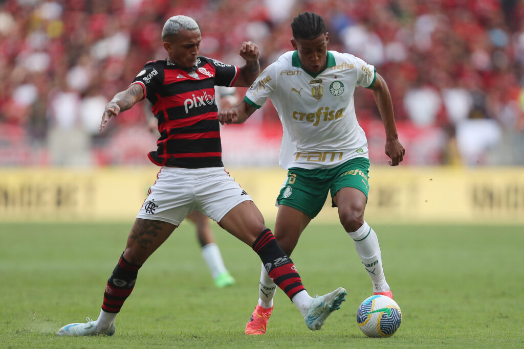 Flamengo v Palmeiras - Brasileirao 2024