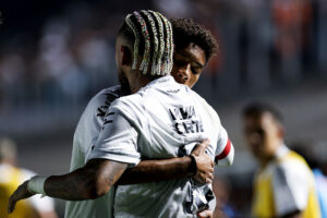 Santos v Flamengo - Brasileirao 2025