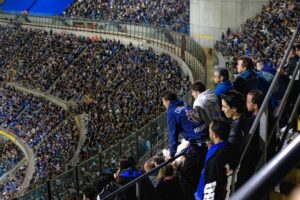 Immagine1
