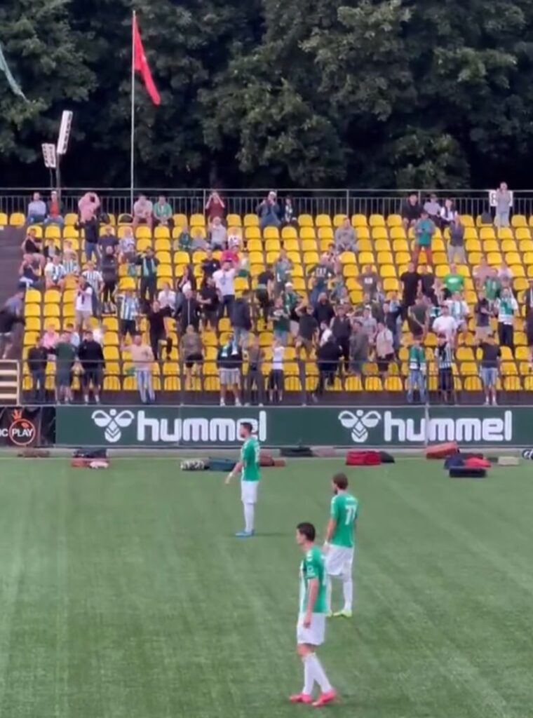 tifosi