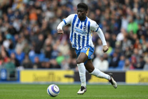 Brighton &amp; Hove Albion FC v Newcastle United FC - Premier League